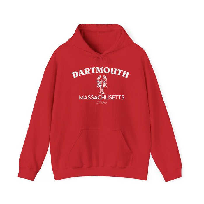 Darthmouth hoodie